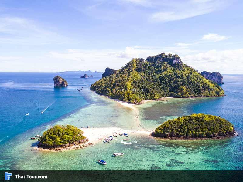 ทะเลแหวก