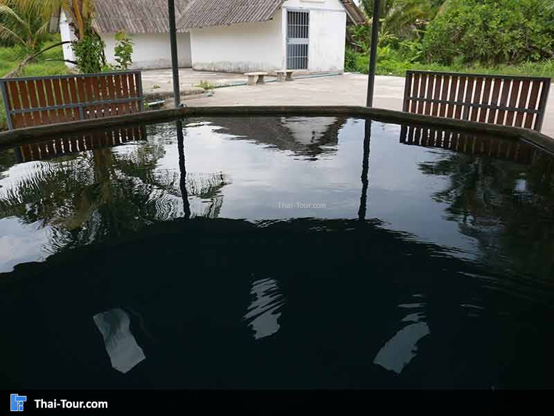 บ่อน้ำร้อนพรุลุมพี