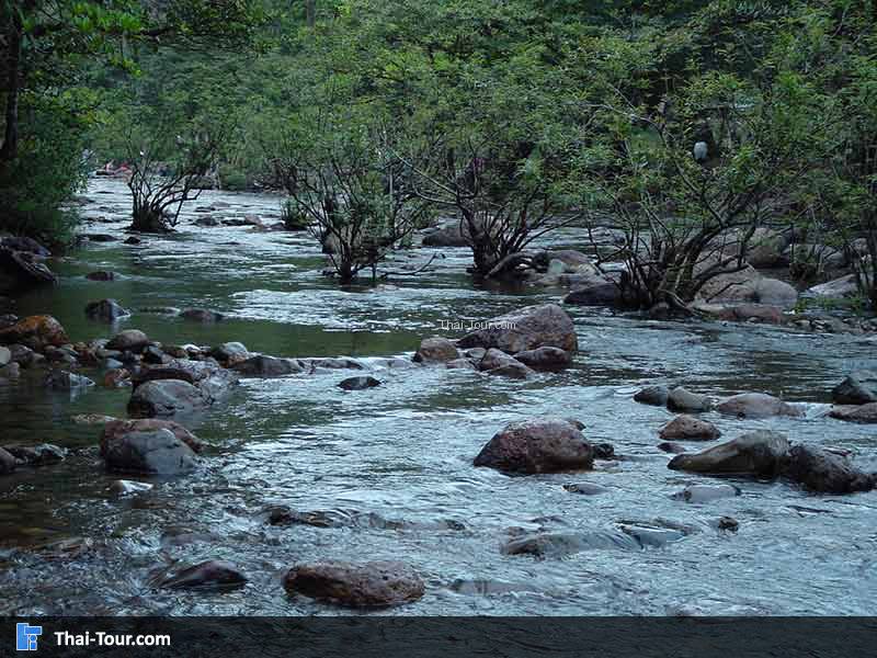 วังตะไคร้