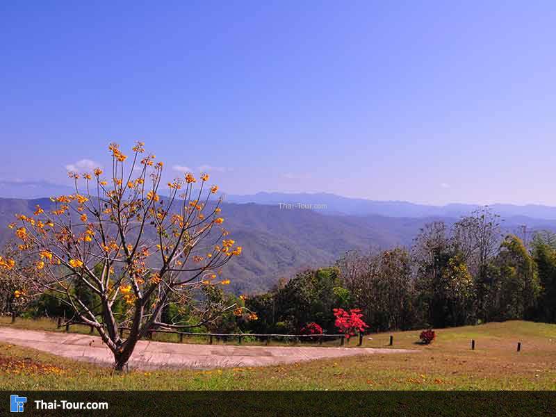 อุทยานแห่งชาติศรีน่าน