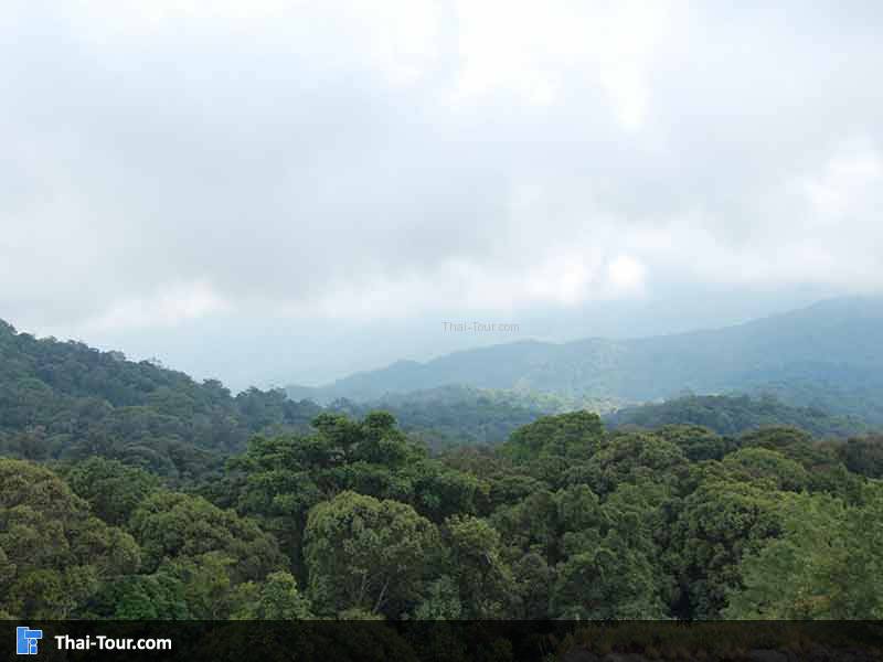 อุทยานแห่งชาติดอยอินทนนท์