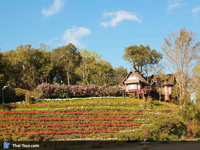 อุทยานแห่งชาติดอยสุเทพดอยปุย