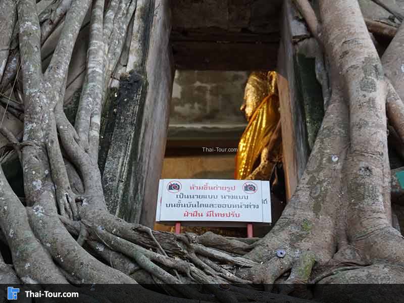 ค่ายบางกุ้ง