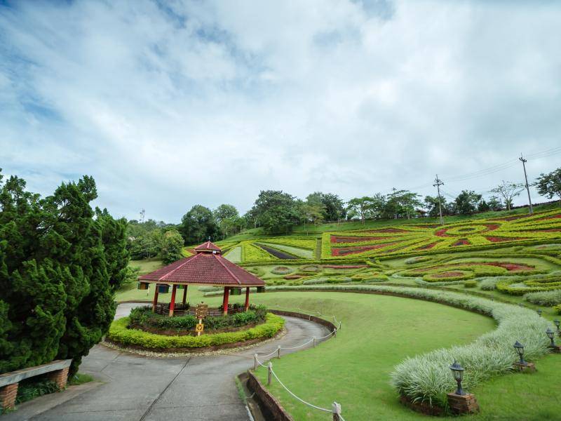 ดอยหมอก ดอกไม้