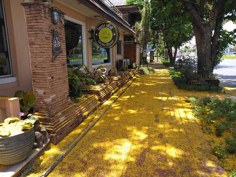 ไอยรา เฮาส์