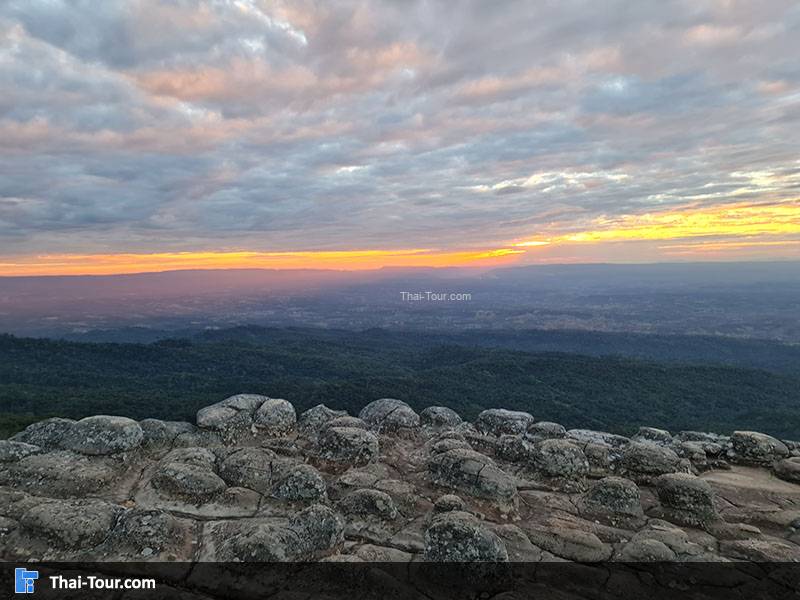 ลานหินปุ่ม