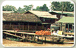 Pakkred Market