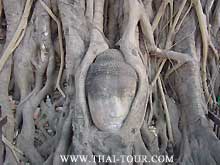 Highlight at Wat Phra Mahathat