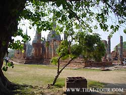 มุมทิศเหนือใต้เงาไม้ 