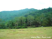 Nakhon Nayok-Khao Yai Jungle Treks
