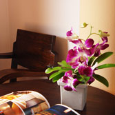 Amenities Baan Dow Resort, Hua Hin