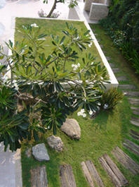 Amenities Garden and Flowers, Nern Chalet, Hua Hin