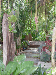 Amenities Garden and Flowers, Nern Chalet, Hua Hin