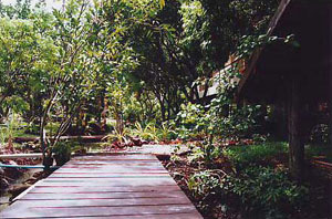 เรือนปณาลี - Ruanpanalee