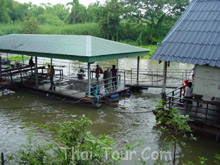 วังมัจฉา