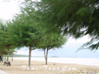 แหลมสิงห์