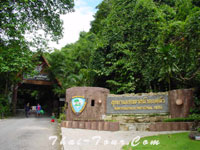 ทางเข้า อุทยานฯ น้ำตกพลิ้ว