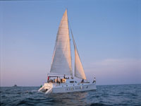 Ocean Marina Yacht Club