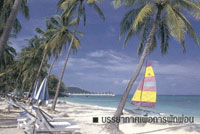 Your pleasant holidays are... Here!