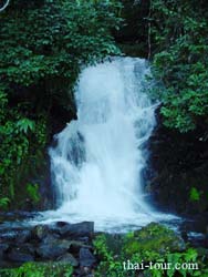 น้ำตกเล็กๆ ระหว่างทางเดินเท้า