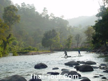 ป่าเกี๊ยะ ล่องแพไม้ไผ่....ฝรั่งชอบ