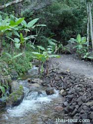 ทางเดินสุ่น้ำตก ผ่านหมู่บ้านชาวเขา