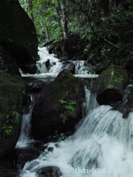 น้ำตกที่ไหลลัดเลาะตามซอกหิน