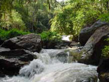 น้ำตกชั้นที่ 4 