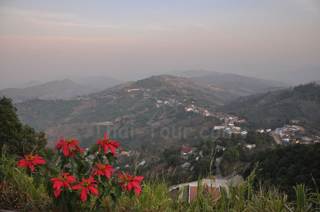 maesalongview.jpg (5664 bytes)