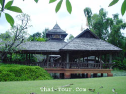 ไร่แม่ฟ้าหลวง