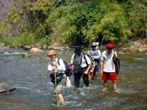 Fern Resort Mae Hong Son