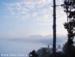 ชมวิวพระธาตุดอยกองมู