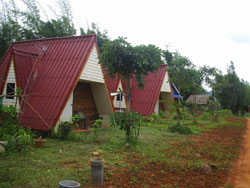 ชมหมอกฮิลล์ - เขาค้อ