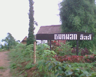 ชมหมอกฮิลล์ - Chom Mok Hill