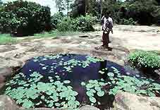 ภูสระดอกบัว