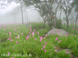 Pa Hin Ngam National Park