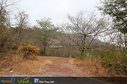 น้ำตกผานางคอย