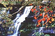 waterfall_khunpong.jpg (10289 bytes)