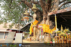 พระพุทธรูปยืนมงคล