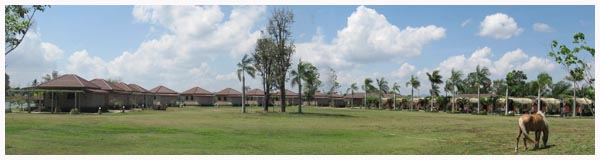 คลองกระทิง คันทรี วิว - วังน้ำเขียว