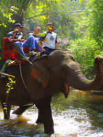 นั่งช้าง