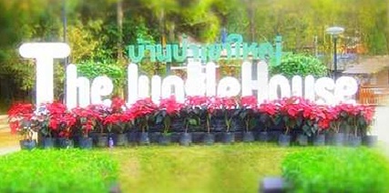 เดอะจังเกิ้ลเฮ้าส์ โฮเทล - เขาใหญ่