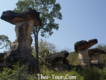 เสาเฉลียง