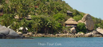 รีสอร์ท จามจุรี อยู่ทางด้านขวาของรูป