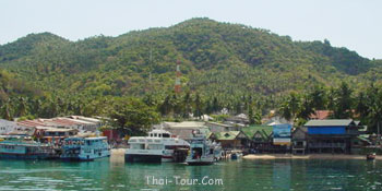 ท่าเรือเกาะเต่า มีอยู่ที่เดียว