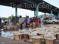 ปากน้ำชุมพร