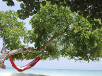 Phi Phi Relax Beach Resort