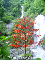 น้ำตกห้วยโต