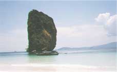 ko_poda3.jpg (2787 bytes)