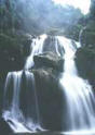 waterfall_kungching.jpg (3941 bytes)